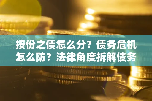 武汉按份之债怎么分？债务危机怎么防？法律角度拆解债务分配与风险自保指南