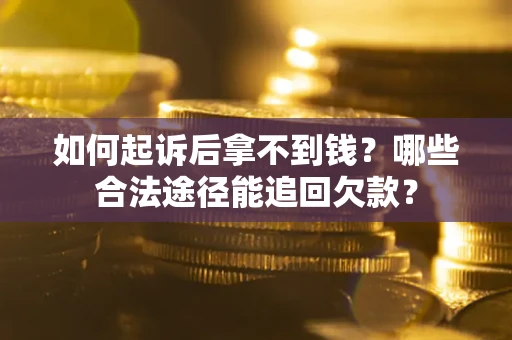 武汉如何起诉后拿不到钱？哪些合法途径能追回欠款？