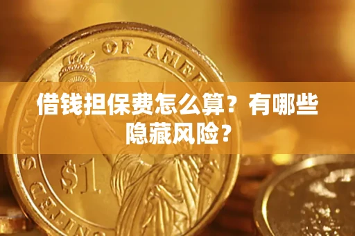 武汉借钱担保费怎么算？有哪些隐藏风险？