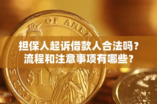 武汉担保人起诉借款人合法吗？流程和注意事项有哪些？