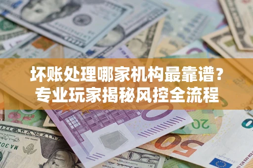 武汉坏账处理哪家机构最靠谱？专业玩家揭秘风控全流程