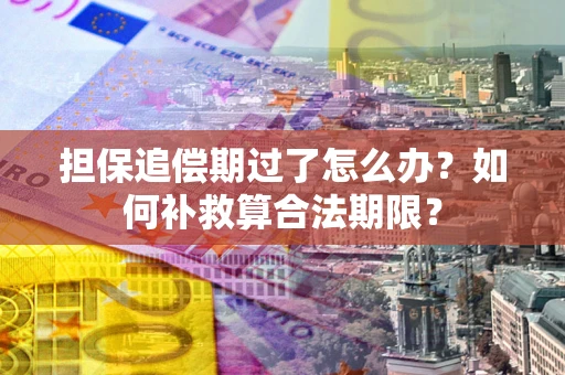 武汉担保追偿期过了怎么办？如何补救算合法期限？