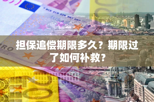 武汉担保追偿期限多久？期限过了如何补救？