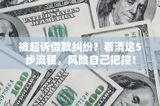 武汉被起诉借款纠纷？看清这5步流程，风险自己把控！