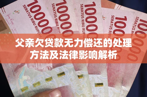 武汉父亲欠贷款无力偿还的处理方法及法律影响解析
