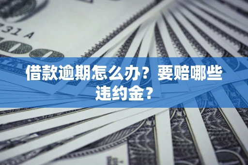 武汉借款逾期怎么办？要赔哪些违约金？