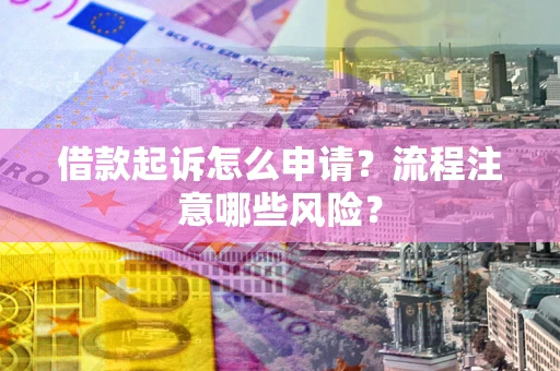 武汉借款起诉怎么申请？流程注意哪些风险？