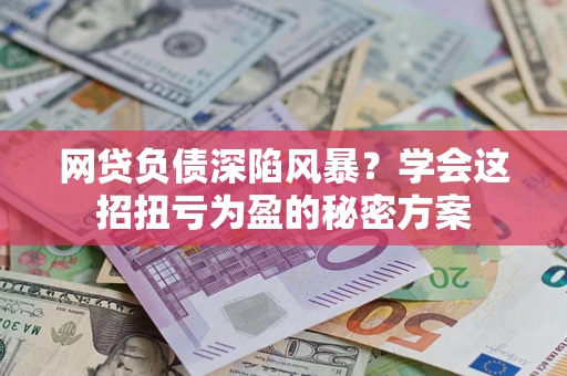 武汉网贷负债深陷风暴？学会这招扭亏为盈的秘密方案